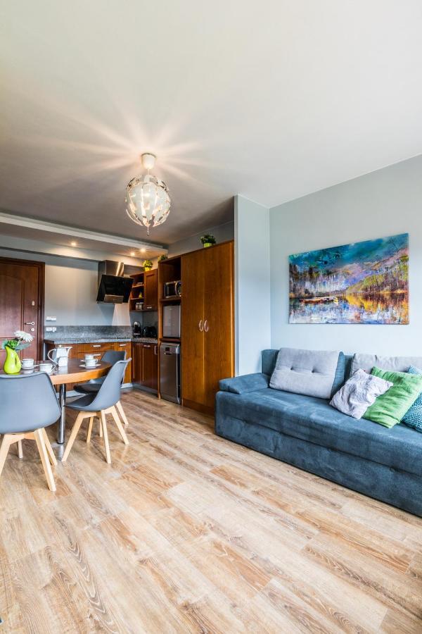 Apartament Srebrzysty Tatary Ζακοπάνε Εξωτερικό φωτογραφία