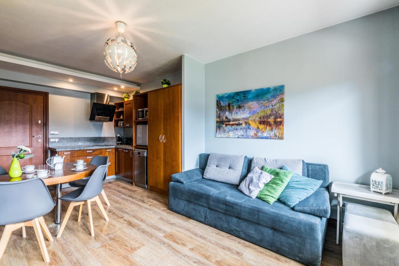 Apartament Srebrzysty Tatary Ζακοπάνε Εξωτερικό φωτογραφία