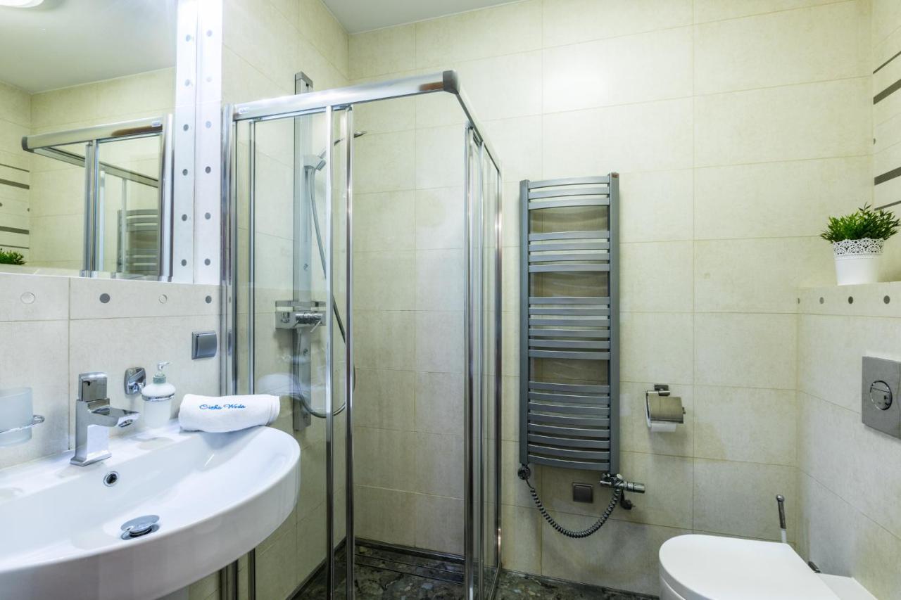 Apartament Srebrzysty Tatary Ζακοπάνε Εξωτερικό φωτογραφία