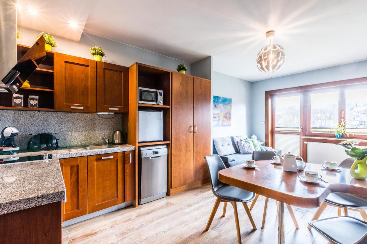 Apartament Srebrzysty Tatary Ζακοπάνε Εξωτερικό φωτογραφία